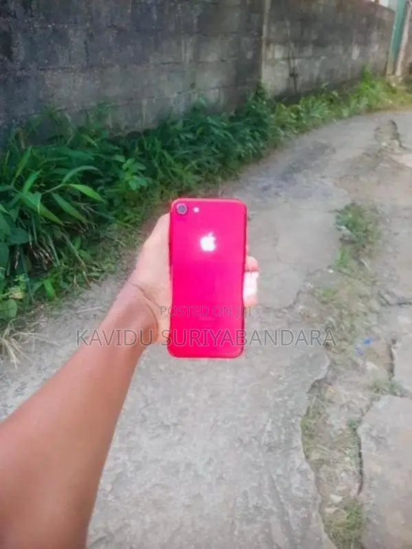 Apple iPhone 7 (Used)
