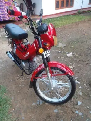 Singer Safari 2020