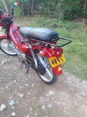 Singer Safari 2020