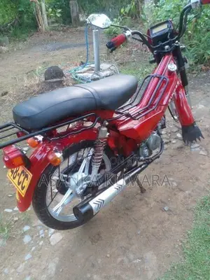 Singer Safari 2020
