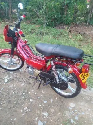 Singer Safari 2020