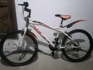පාපැදියක්