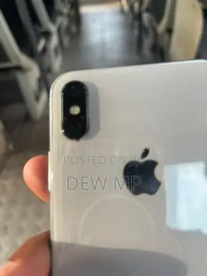 Apple iPhone X 256GB (Used)