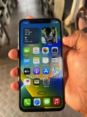 Apple iPhone X 256GB (Used)