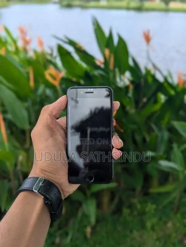 Apple iPhone SE 3 2022 (Used)