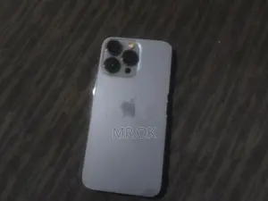 Apple iPhone 13 Pro (Used)