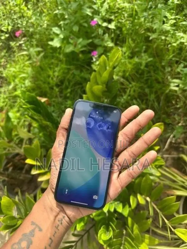 Apple iPhone 13 Pro 256GB (Used)