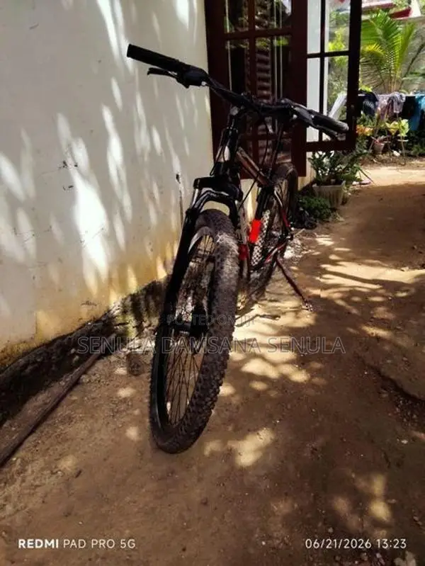 DSI Bicycle