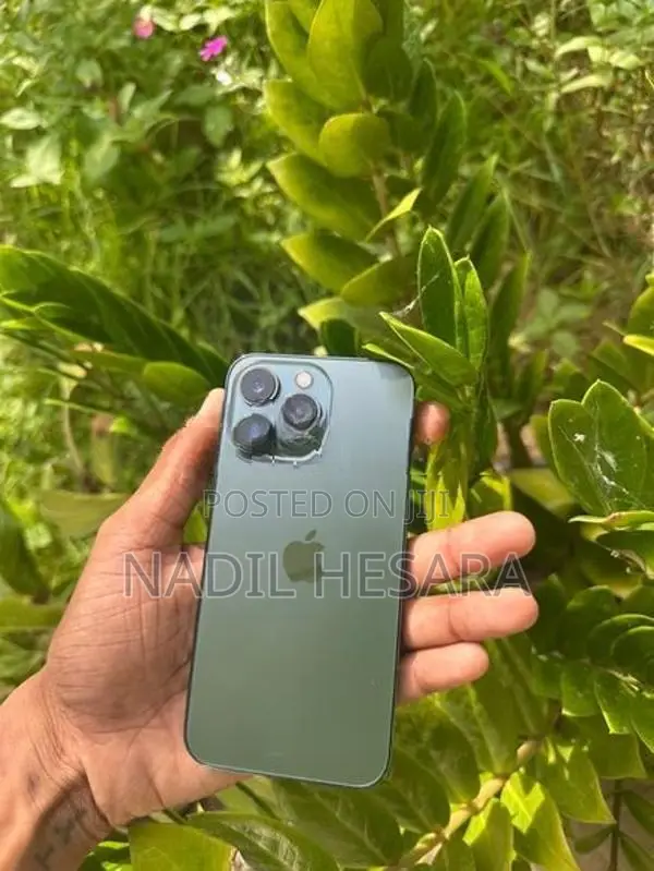 Apple iPhone 13 Pro 256GB (Used)