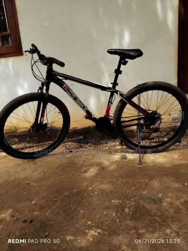 DSI Bicycle