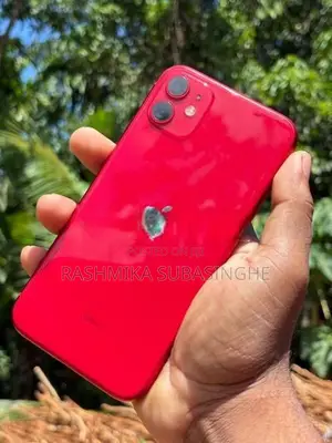 Apple iPhone 11 (Used)