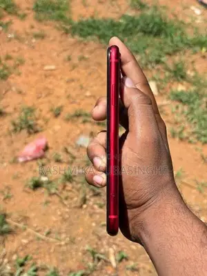 Apple iPhone 11 (Used)