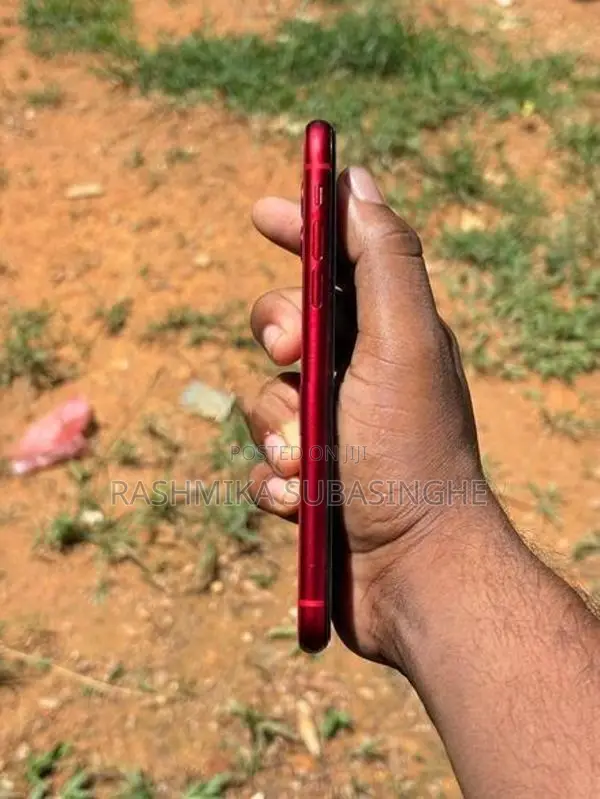 Apple iPhone 11 (Used)