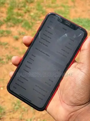 Apple iPhone 11 (Used)