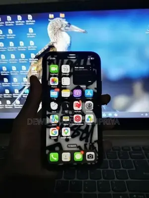 Apple iPhone X (Used)