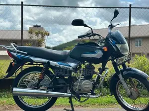 Bajaj CT100 2010