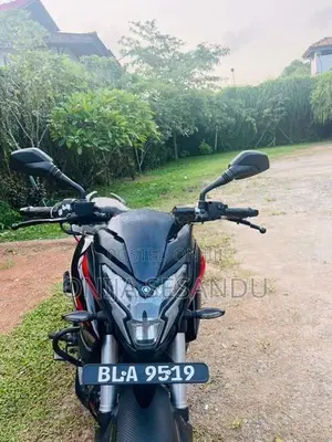 Bajaj Pulsar NS200 BS7 2025