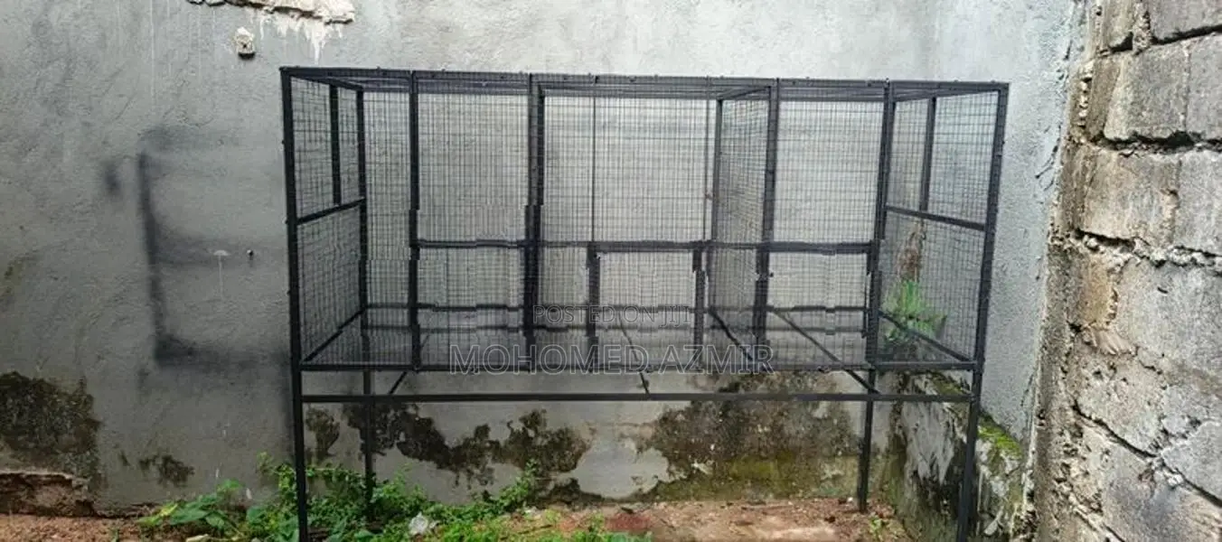 Birds Cage