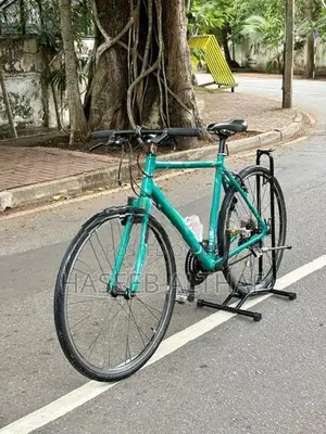 Bridgestone Hybrid Bicycle