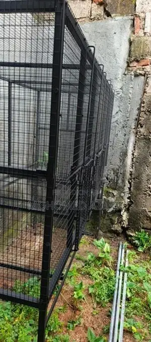 Birds Cage