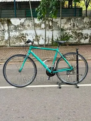 Bridgestone Hybrid Bicycle