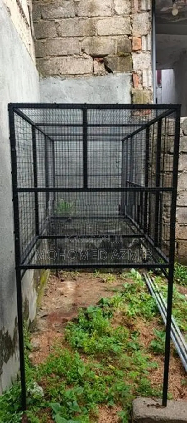 Birds Cage