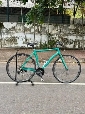 Bridgestone Hybrid Bicycle