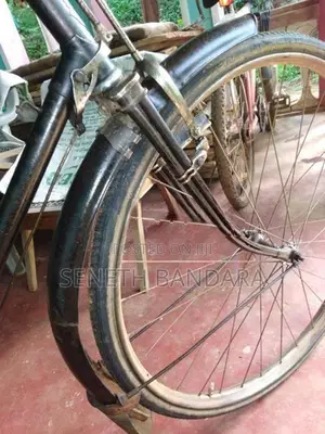 Raleigh Bicycle