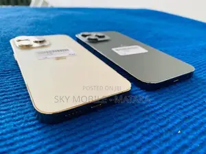 Apple iPhone 13 Pro 256GB (Used)
