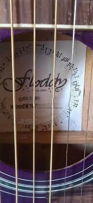 Acoustic Guitar