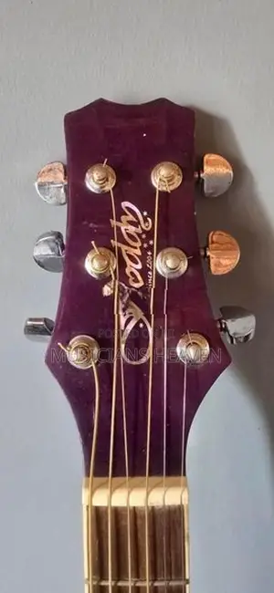 Acoustic Guitar