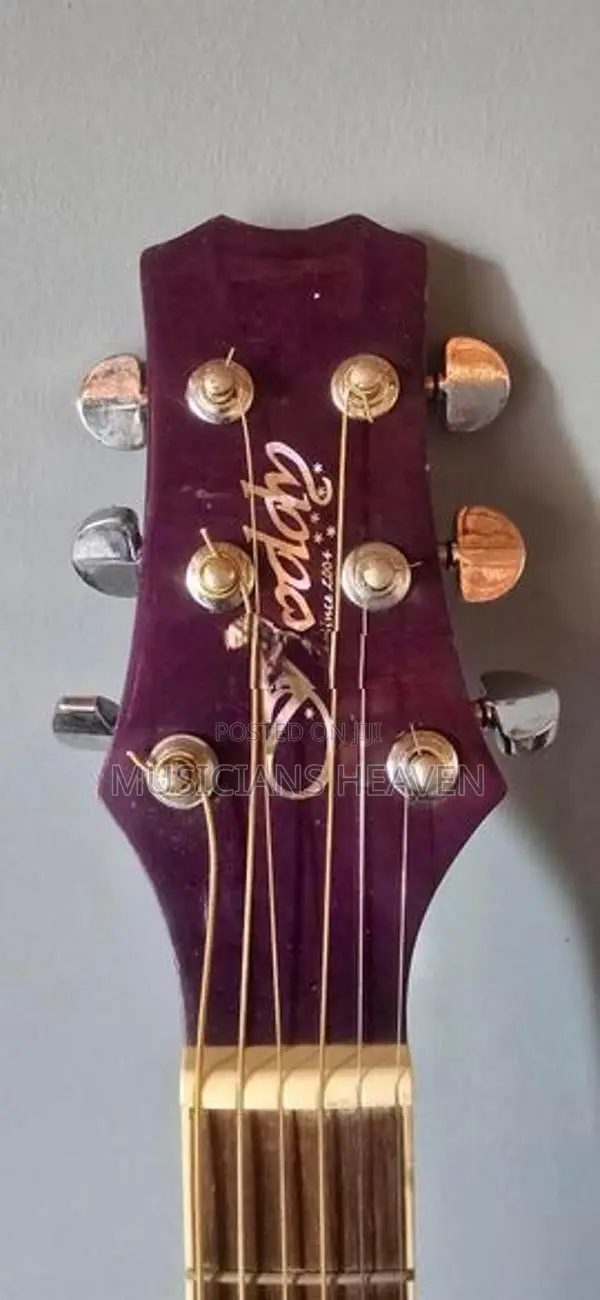 Acoustic Guitar