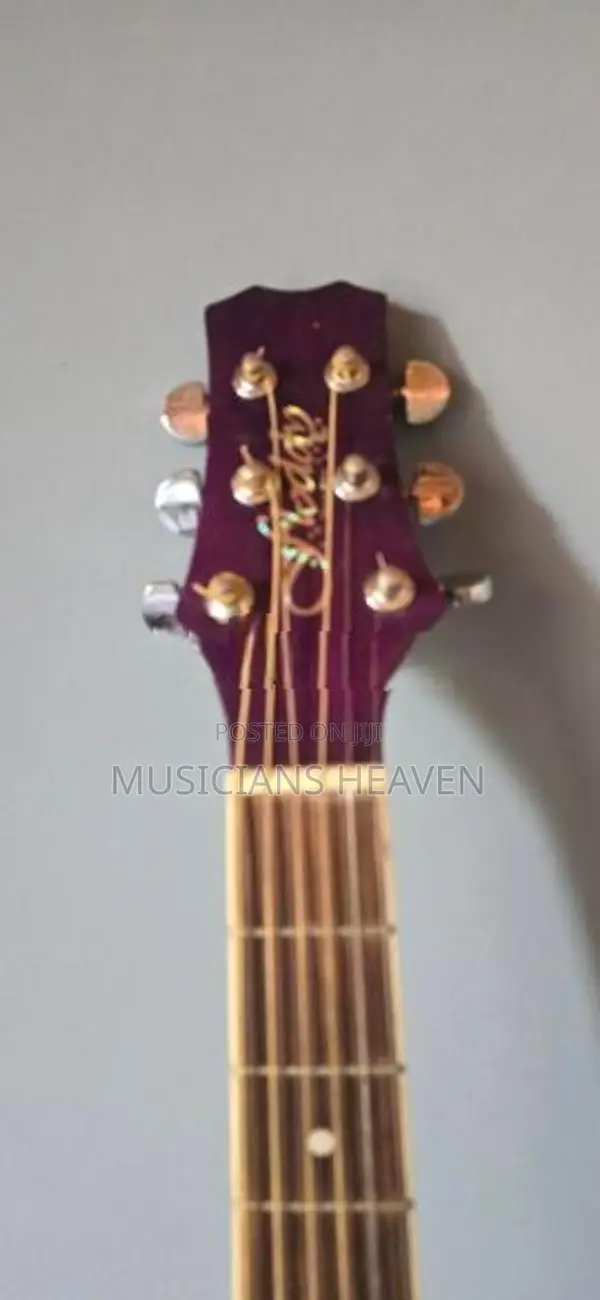 Acoustic Guitar
