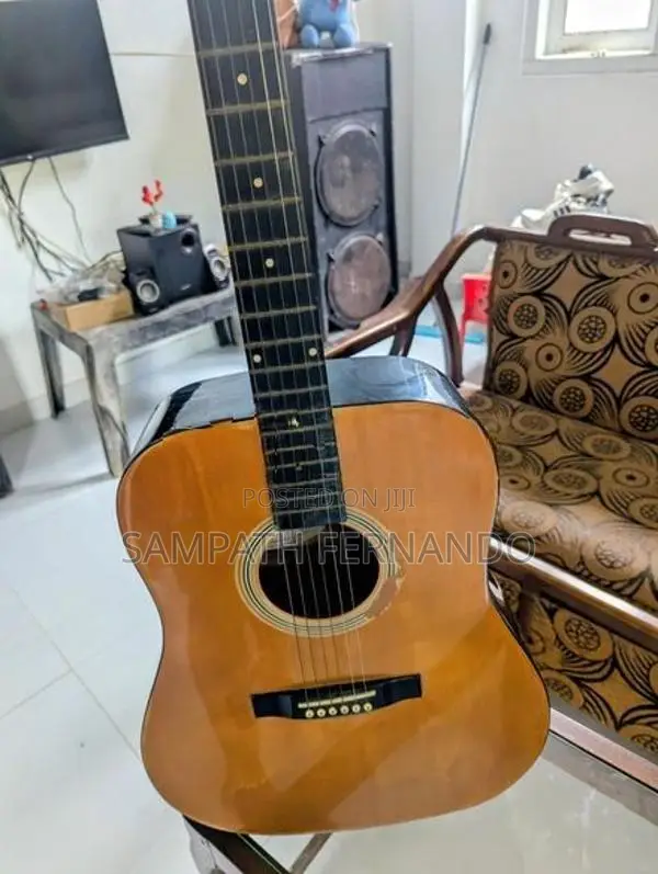 Guitar