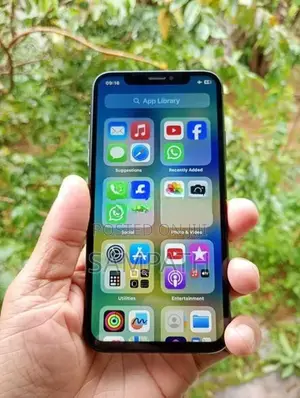Apple iPhone X 256GB (Used)