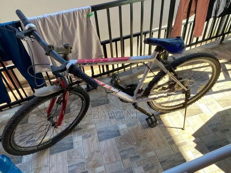 Lumala Mountain Drifter Bicycle