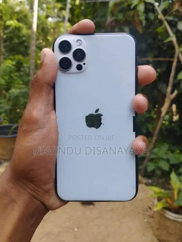 Apple iPhone 11 (Used)