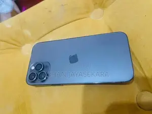 Apple iPhone 12 Pro Max 256 (Used)