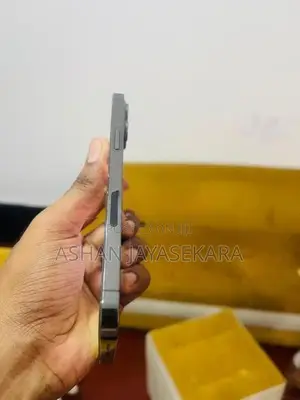 Apple iPhone 12 Pro Max 256 (Used)