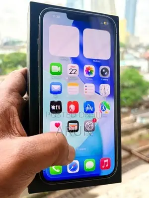 Apple iPhone 13 Pro Max (Used)