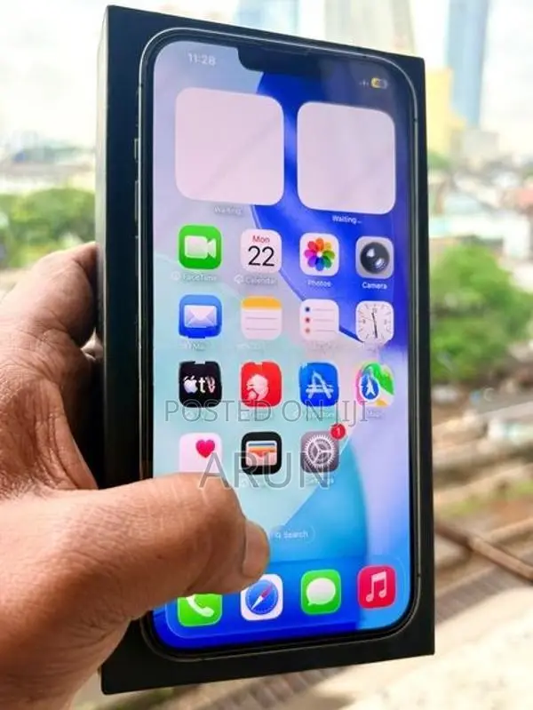 Apple iPhone 13 Pro Max (Used)