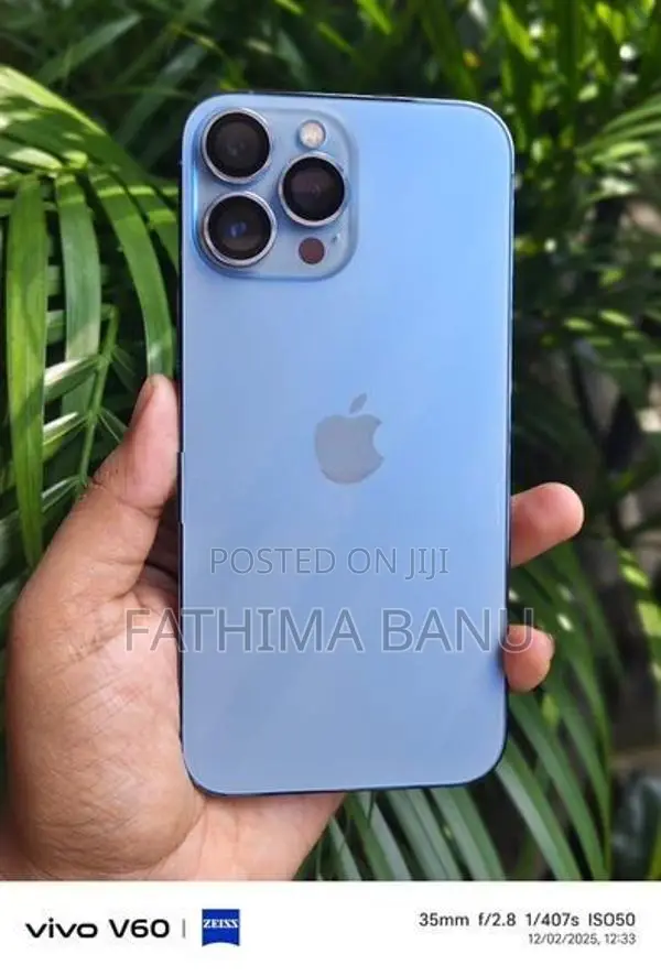Apple iPhone 13 Pro Max (Used)