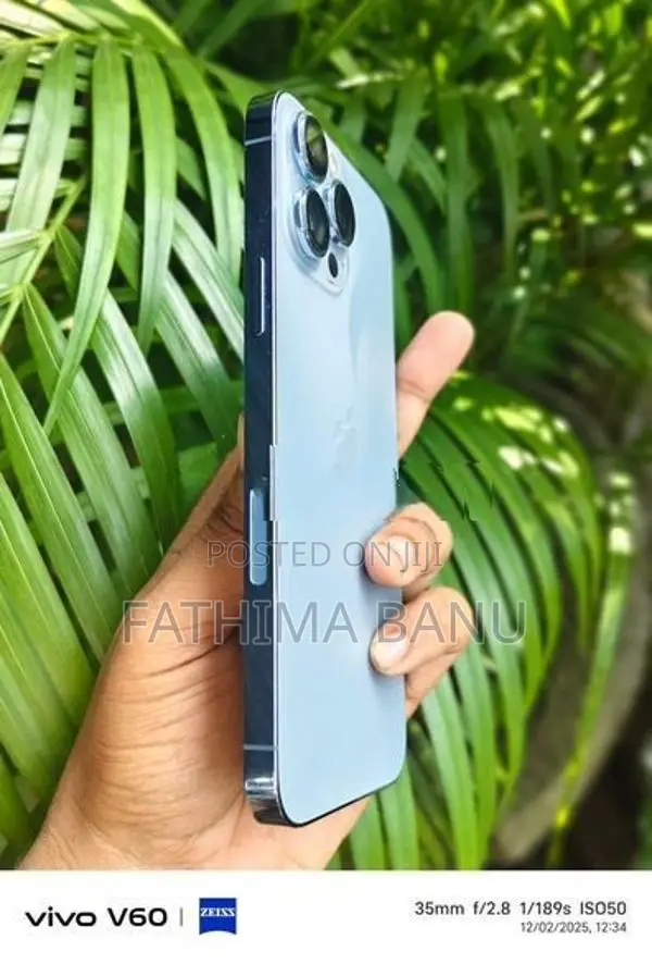 Apple iPhone 13 Pro Max (Used)