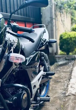Bajaj Pulsar 150 2010