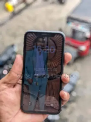 Apple iPhone 11 (Used)
