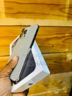 Apple iPhone 16 Pro Max 256GB (Used)