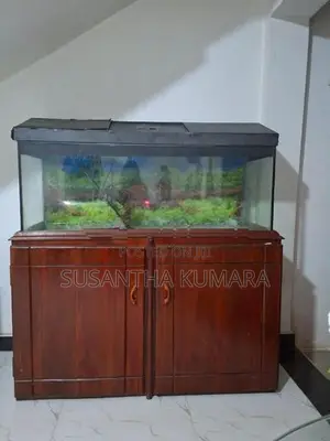 4 feet fish tank with stand