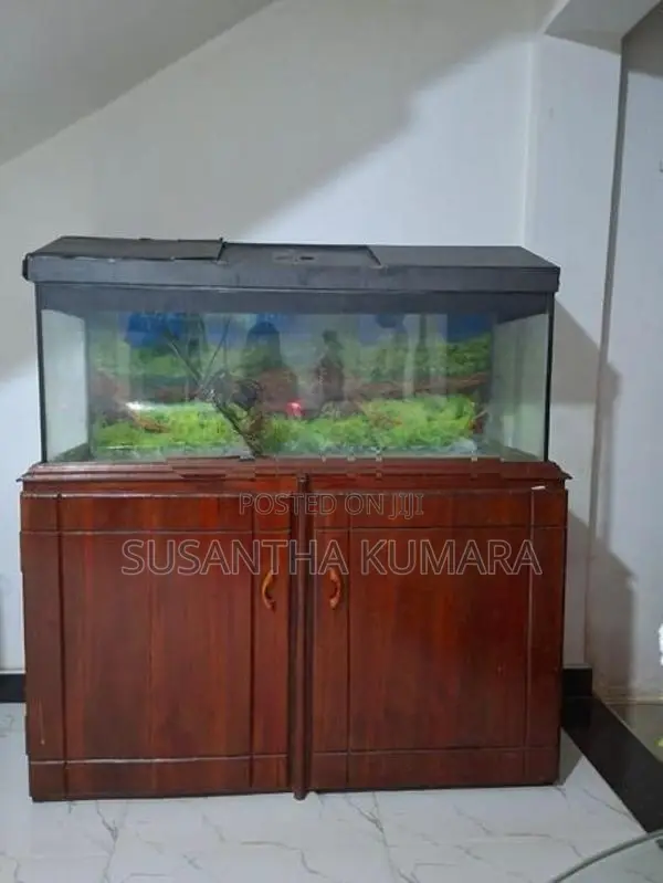 4 feet fish tank with stand