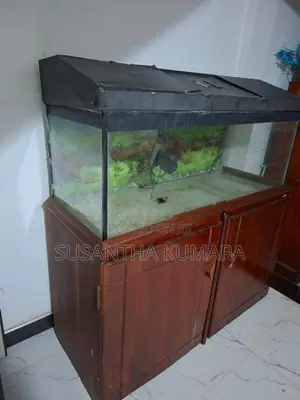 4 feet fish tank with stand