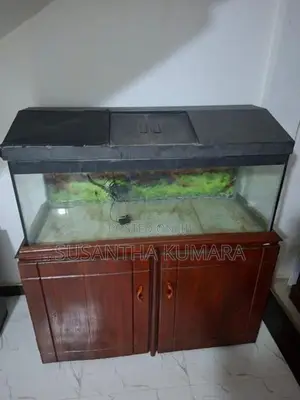 4 feet fish tank with stand